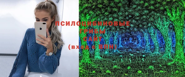 тгк Нея