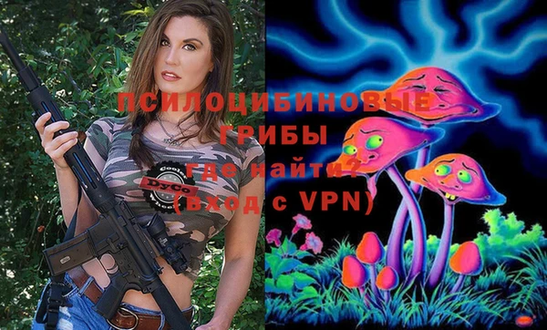 тгк Нея