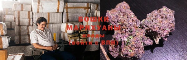 тгк Нея