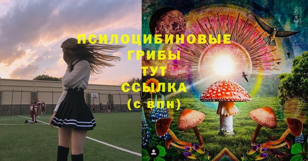 тгк Нея