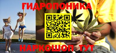 jwh Бийск