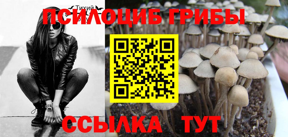 Галлюциногенные грибы Cubensis Лысьва