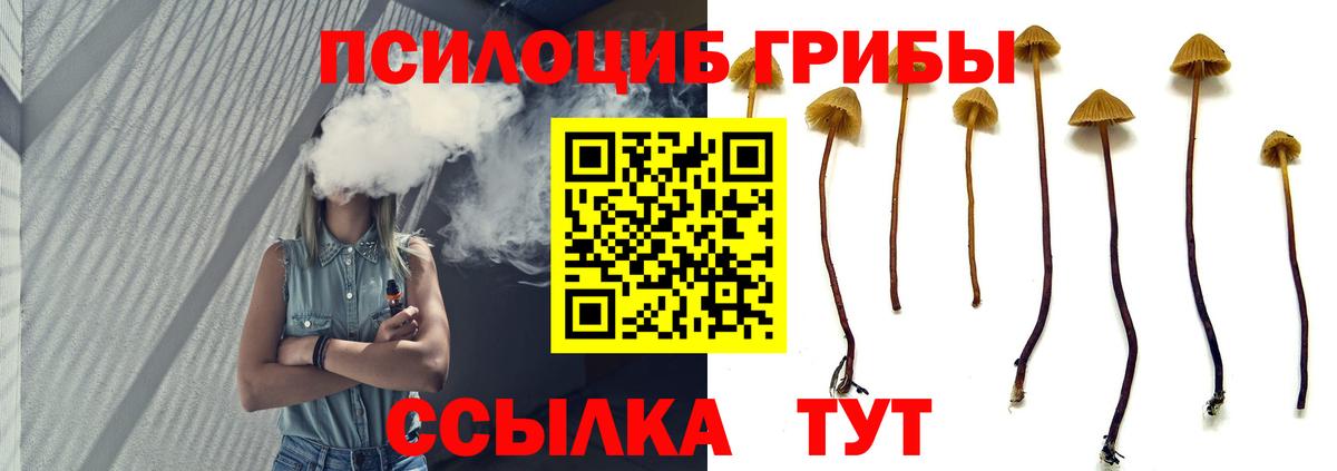 Псилоцибиновые грибы мицелий  Галлюциногенные грибы Cubensis  Вход с VPN  Лысьва 